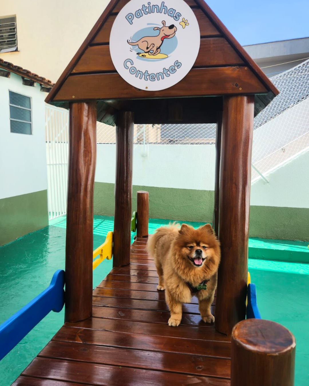 Brinquedos disponíveis para os pets